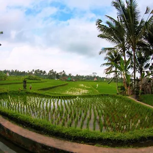 https://vinarya-ubud-bali.ubudhotelsnow.com